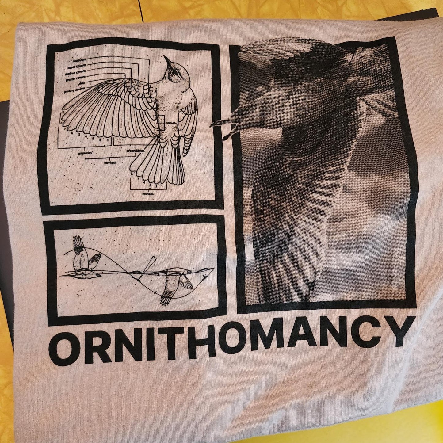 Ornithomancy Short Sleeve T-Shirt
