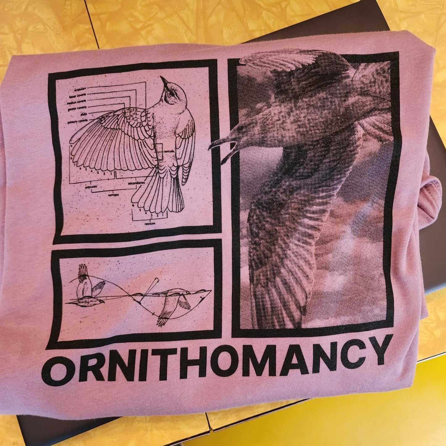Ornithomancy Short Sleeve T-Shirt